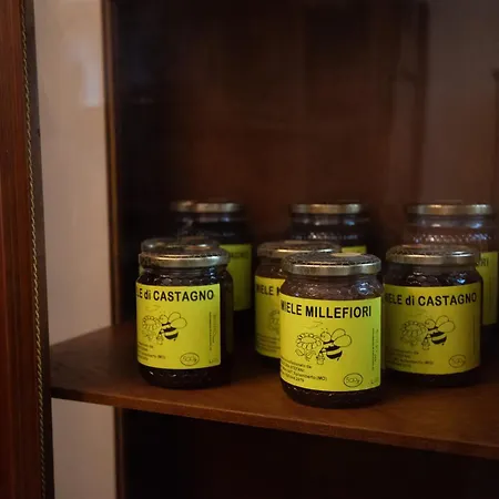 Santa Caterina - Near Maserati, Ferrari Museum & Railway *